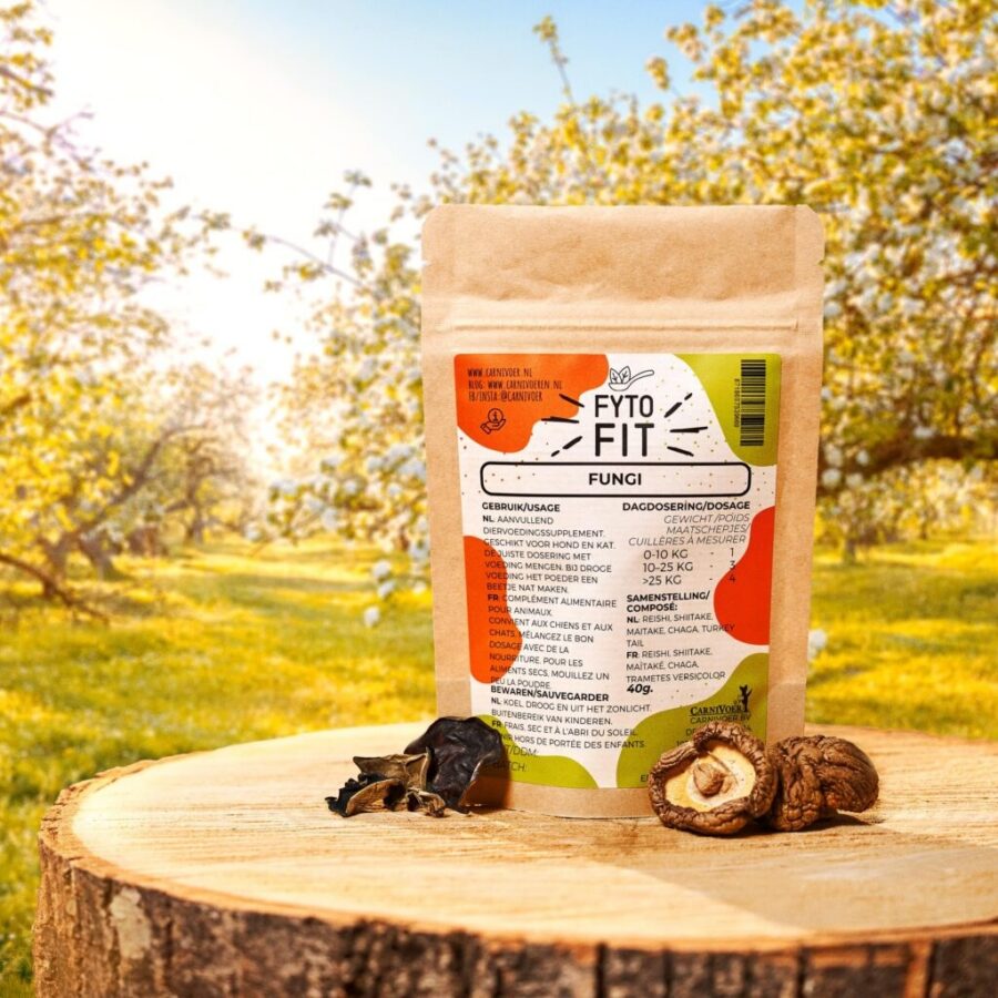 Fyto-Fit Fungi paddenstoelenmix voor honden, 40 g
